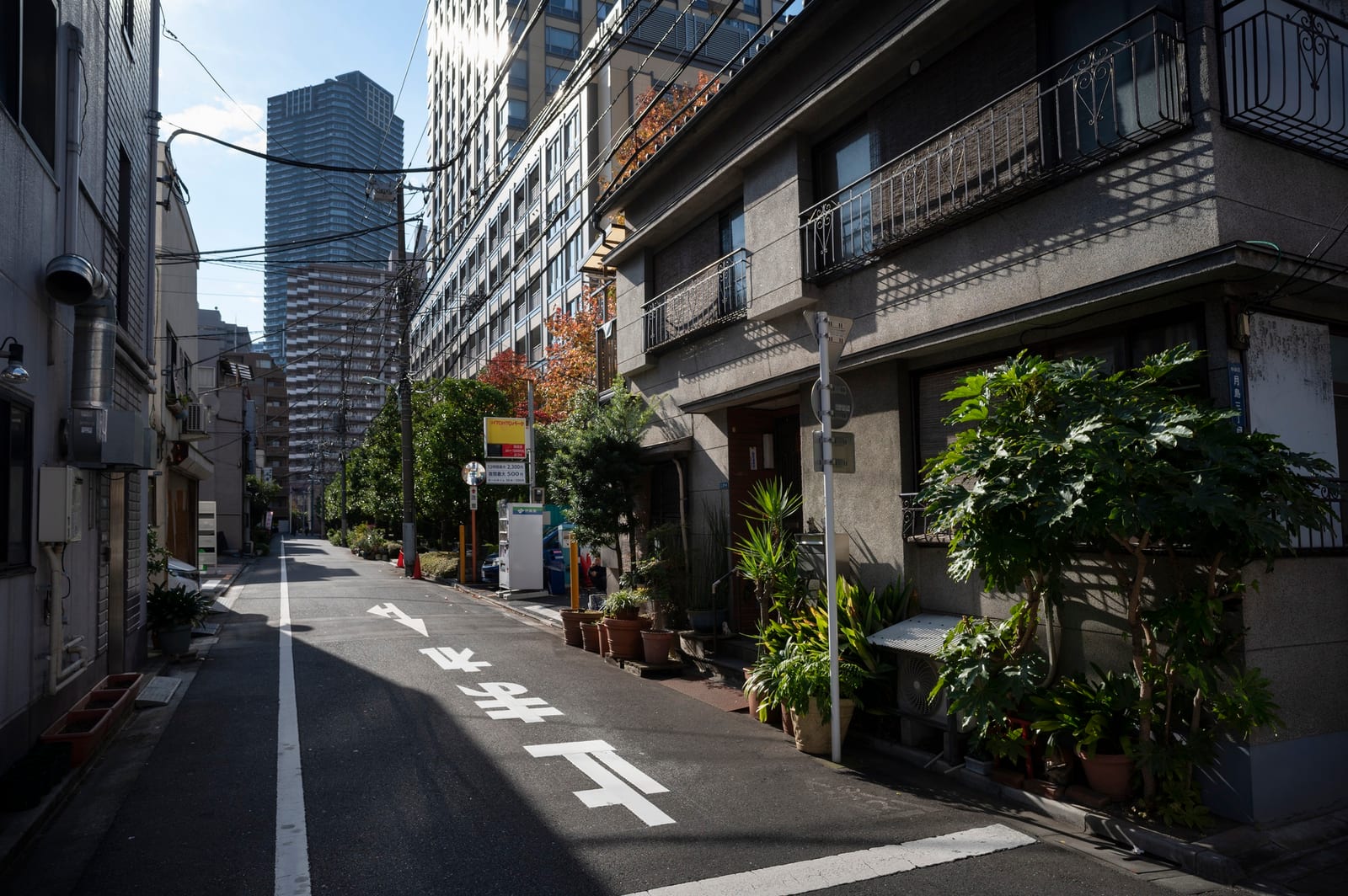 低層住宅と遠くの高層ビルが見える静かな東京の裏通り